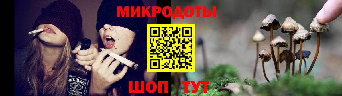 Псилоцибиновые грибы Cubensis Новоуральск